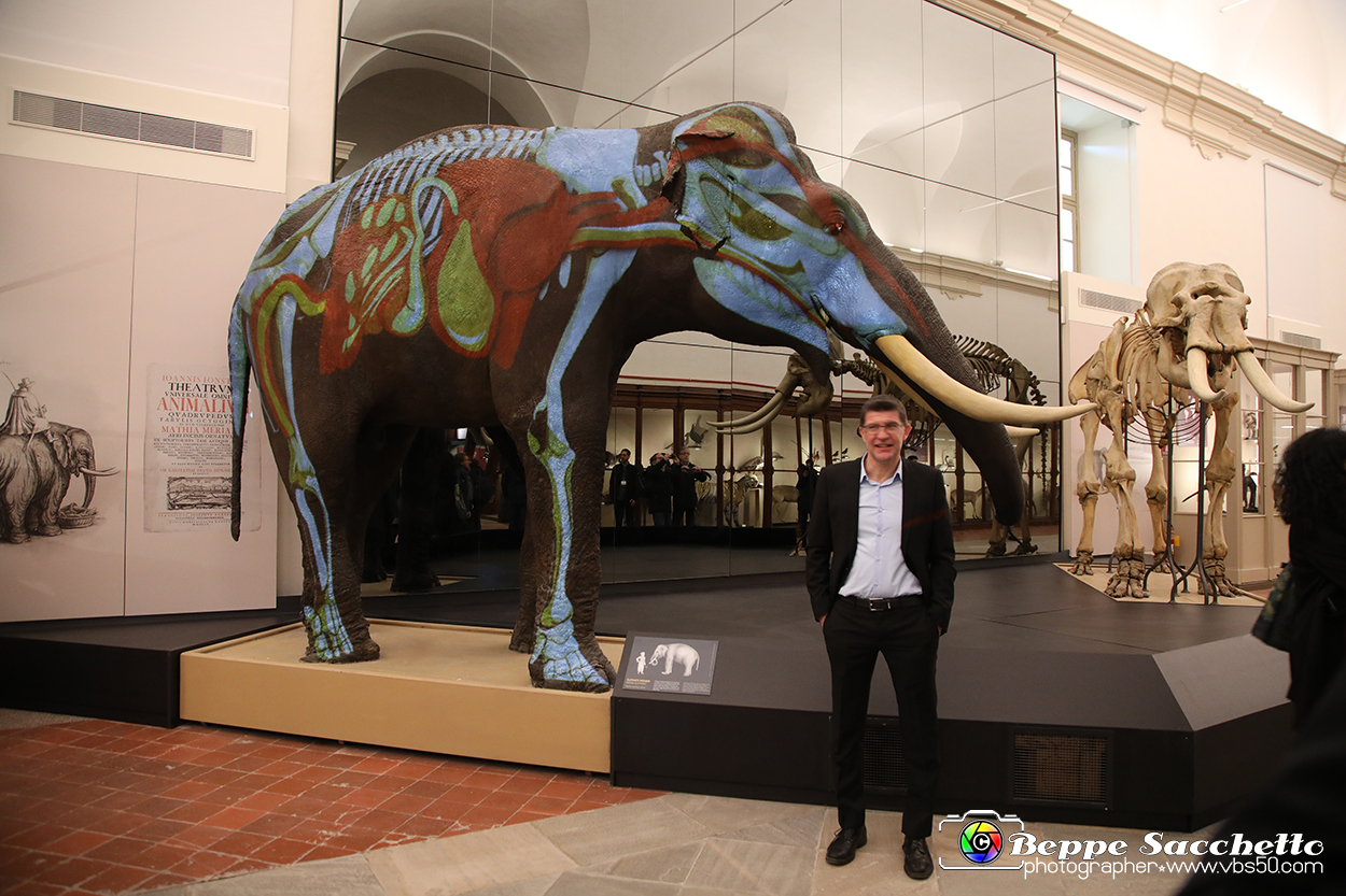 VBS_0905 - Riapre il Museo di Scienze Naturali dopo dieci anni di chiusura.jpg